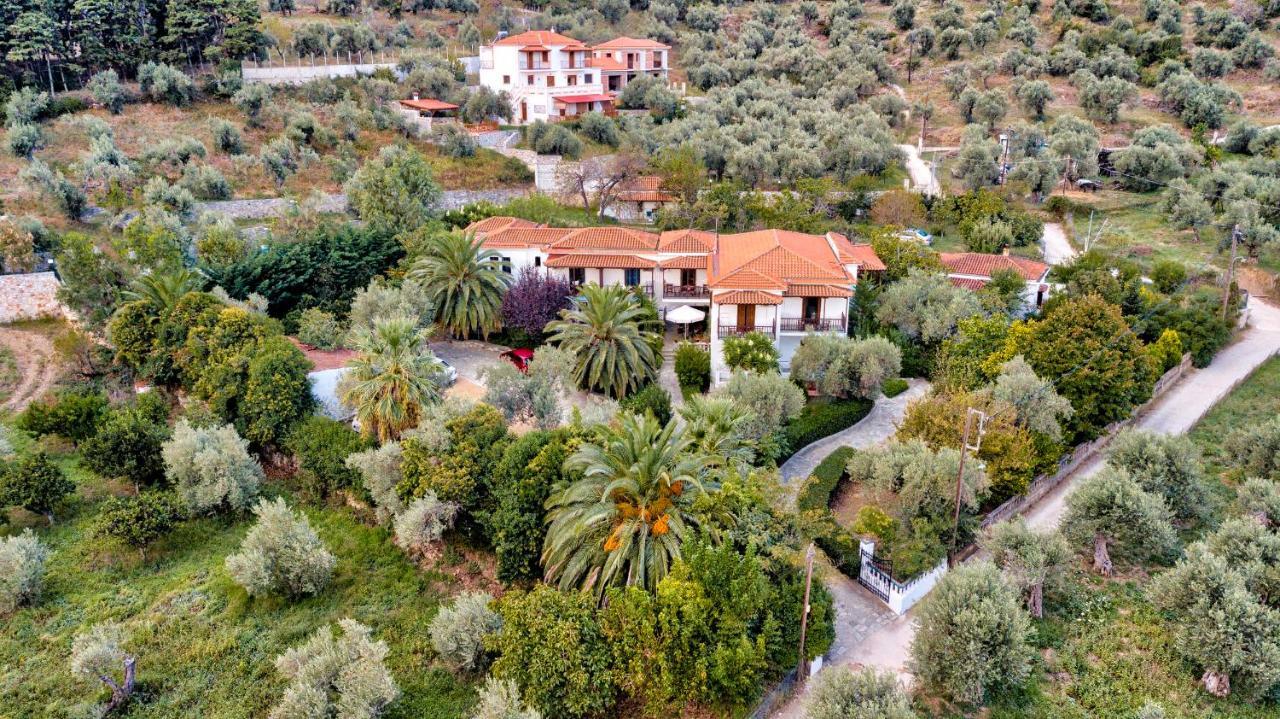 Villa Ble Città di Skopelos Esterno foto